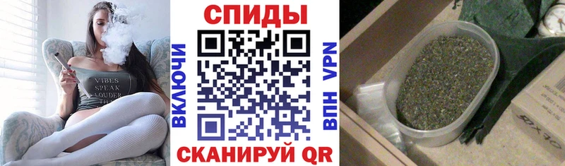 Бутират буратино  где найти   Андреаполь 