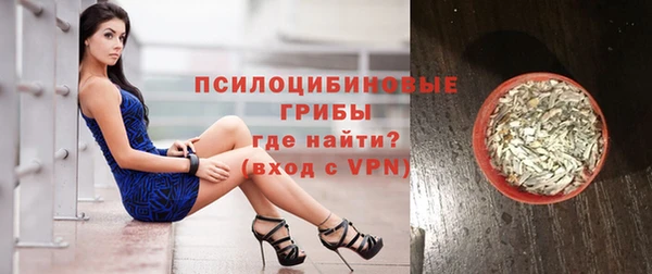 индика Навашино