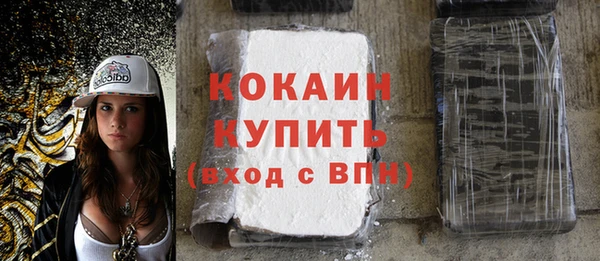 индика Навашино