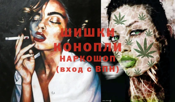 индика Навашино