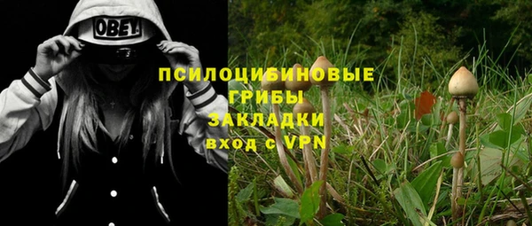 таблы Надым