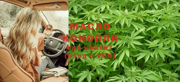 индика Навашино