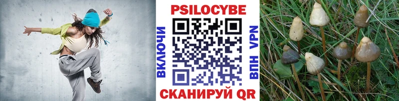 Псилоцибиновые грибы Psilocybine cubensis  Андреаполь 